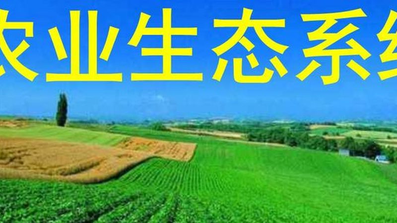 绿色食品，从田间到餐桌的纯净之旅