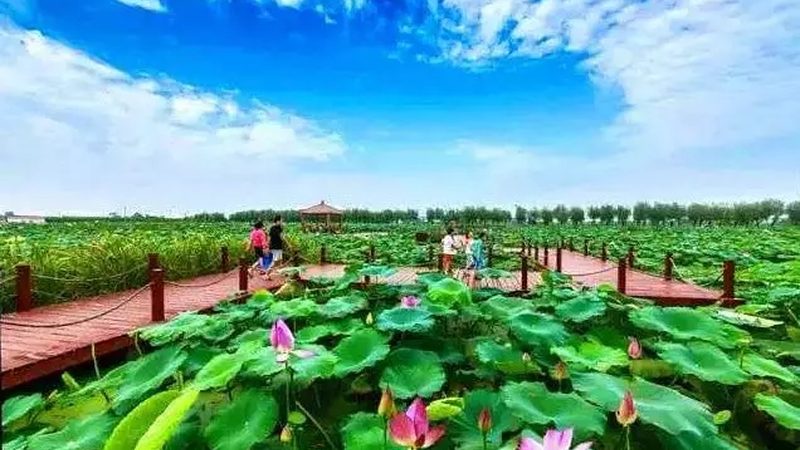现代农业产业园建设标准规范：构建高效农业新蓝图**