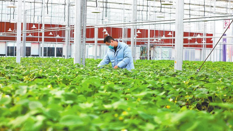 为了避免加盟合同中的陷阱，加盟者在签订合同时应采取以下措施：