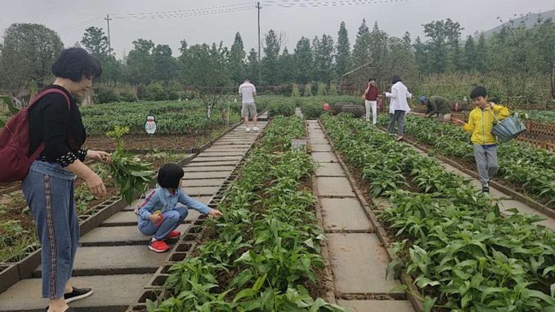 农民专业合作社所得税减免，你了解多少？**