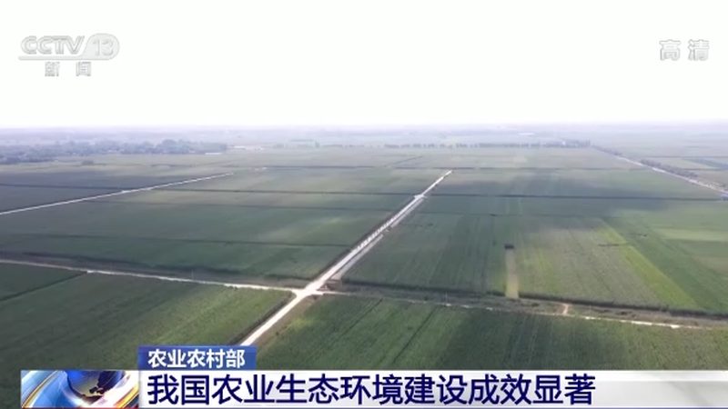 水稻病虫害防治，如何科学选择方案？**