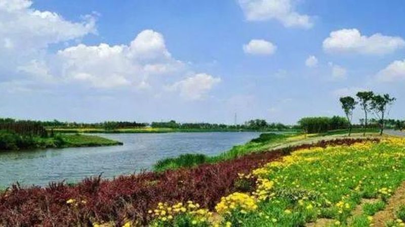 合作社注销流程解析：如何合法合规省心省力