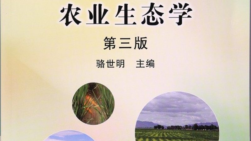绿色食品公司如何甄别，四大关键点揭秘**