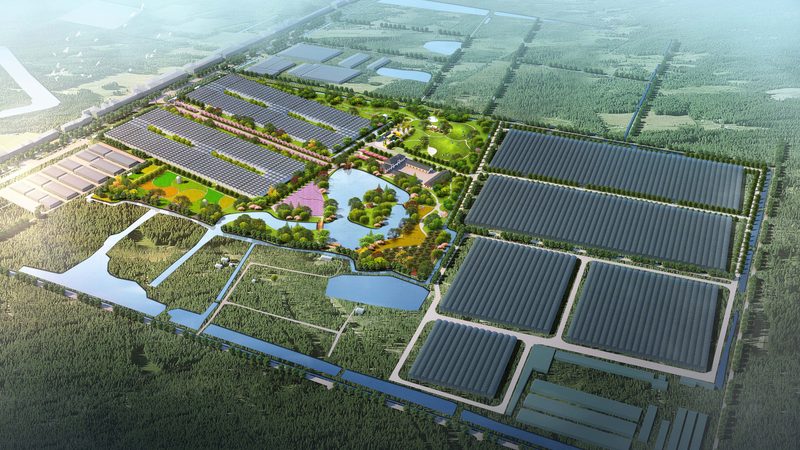 合作社分红方案表格：从数据设计到落地执行的关键要点