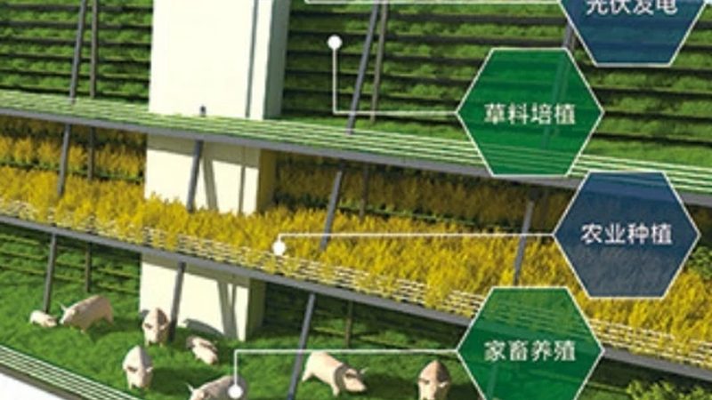 山区生态农业项目：揭秘十大品牌背后的秘密**