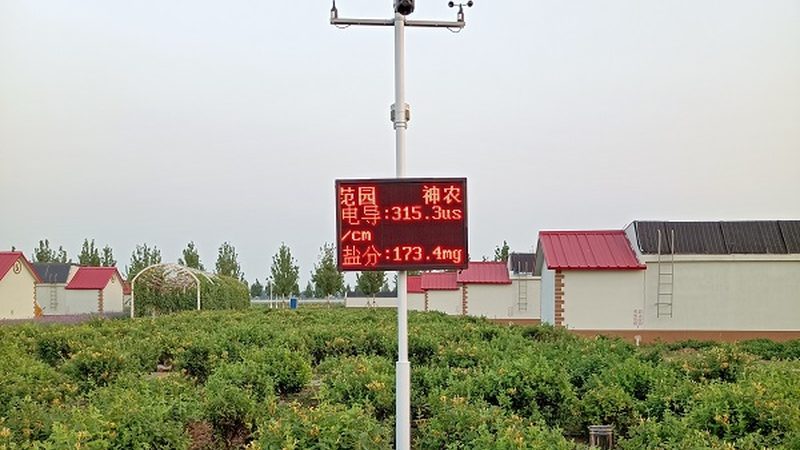 阿克苏苹果种植：气候条件解析与种植要点