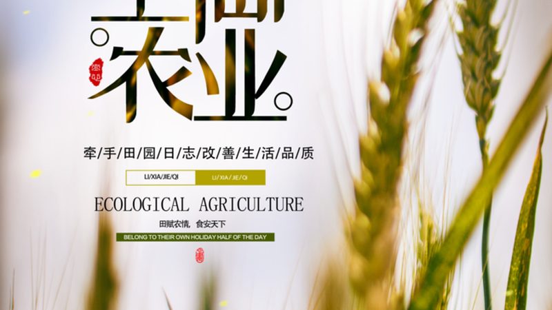 家庭农场规模化补贴：政策红利下的转型路径**